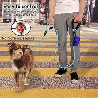 Correa De Perro 6 Pies Larga Con Doble Manija Reflector Y Padded Para Control Seguridad Entrenamiento Resistente Y Segura Para Todas Las Estaciones - details 1
