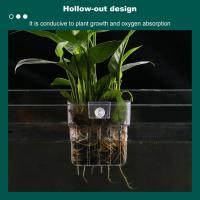 Cesta De Plantación Hidroponía Colgante Para Plantas Acuáticas Soporte Para Hierba De Agua Para Acuario De Peces - details 4