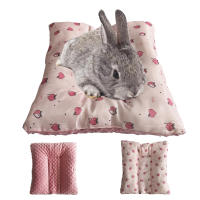 Almohadilla Concava Para Pequeños Animales De Peluche Doble Cara Para Conejos Gatos Dragoncitos Cochinillos Y Erizos - details 0