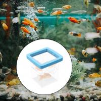 Caja De Cría Y Aislamiento Para Peces Acuario Incubador De Recién Nacidos Accesorio De Repositorio De Alimentos Para Acuario - details 10