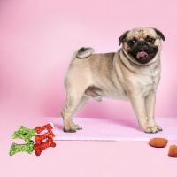 COTTECOTA- 8 Piezas Hueso 9 cm Color para Perro Munchy para Perros Snack para Perros Sticks dentales de Uso Diario para higiene Oral para Perros medianos, Premios para Perros, Comida complementaria. - details 0