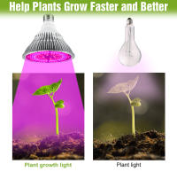 Bombilla LED De Cultivo 150W E27 Espectro Completo Para Plantas Vegetales Flores Semillas Cultivo En Hydroponia Caja De Cultivo AC85-265V - details 7