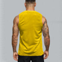 Camiseta De Gimnasio Para Hombre Verano Quick-drying Mesh Sin Mangas Para Fitness Running Deporte Estilo Casual Colorible Tallas M-XXL - details 16
