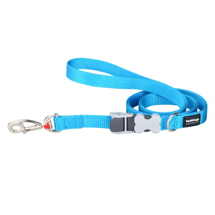 Red Dingo - Correa para Perro Turquesa - 1.8m - Resistente - Novedad en Tendencia - 1