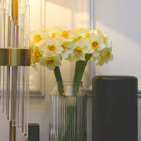 6pcs Narcis Artificial Para Decoración De Bodas Festivales Y Fiestas Decoración De Hogar Jardín Y Habitaciones Estilo Silken - details 12