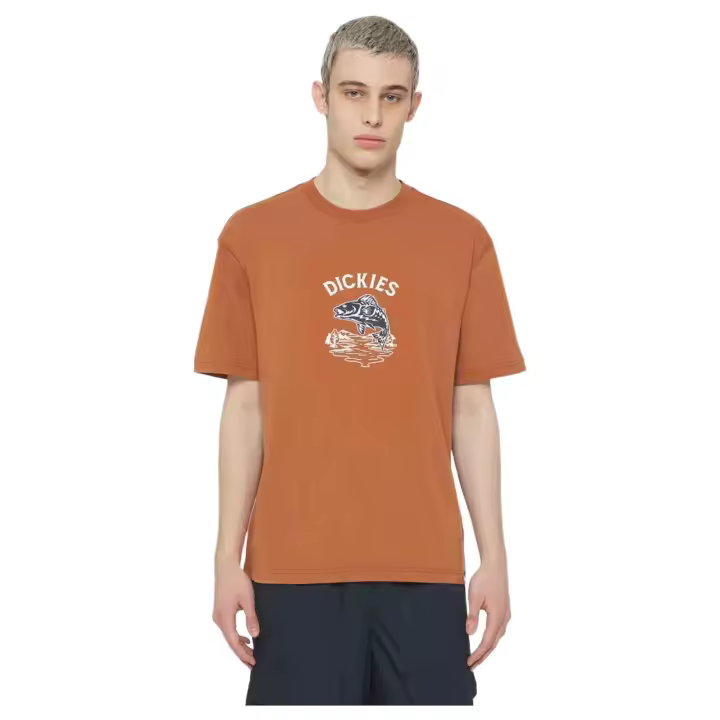 Camiseta de Manga Corta Dickies Dumfries para hombre en color marron - 1
