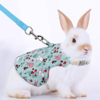 Conjunto De Ropa Para Mascotas Estilo Impresión Transpirable Para Conejos Y Perros Uso Al Aire Libre Correa Y Collar Personalizado - details 4