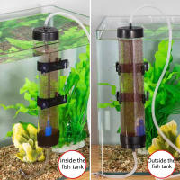 Kit De Incubador De Artemia Para Acuario Con Alimento Para Pequeños Peces Y Hatcher De Huevos Fértil Herramienta De Equipamiento Para Tanque - details 4