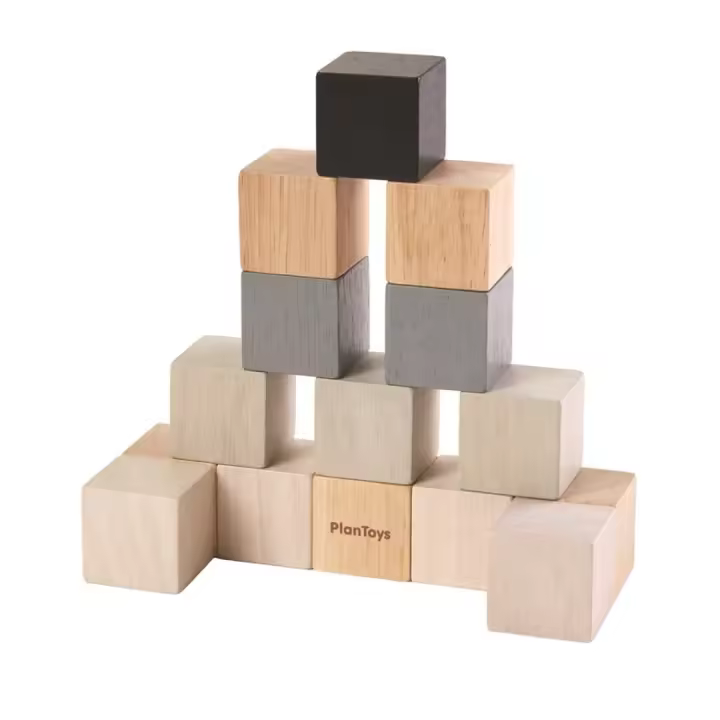 Juego Educativo Cubos de Madera Plantoys - 1