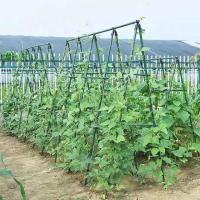 Pack 12-24 Tutores para Plantas de Acero Plastificado Verde Ø0.8-1.1 cm | Soporte para Tomates, Flores y Huerto | Varillas Jardín Varios Largos - Maxia Market - details 3