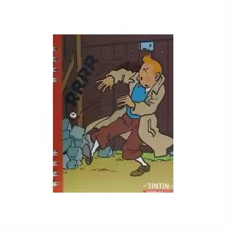 Libro Agenda 2013. Tintín (despacho) AA.VV Zephyrum Exclusivas - 1