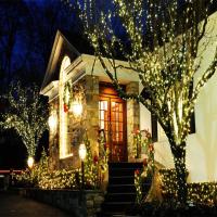 Luz De Fairy Solar LED Impermeable Para Exterior 22M/32M Guirnalda De Luces Para Decoración De Jardín Fiesta Navidad - details 17