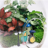 Florero de vidrio suculento de escritorio, globo de vidrio transparente, maceta de vidrio suculenta para mesa, plantador de plantas de aire suculentas - details 3