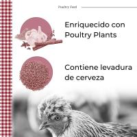 FINCA CASAREJO Pienso de Recría para Gallinas - Alimento para Gallinas Ponedoras y Ornamentales - 25 Kgs - details 2