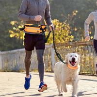 Correa Para Perro Sin Manos Con Bolso De Cinturón Reflectante Y Elástica Retráctil Para Correr Y Caminar Ropa De Seguridad Para Mascotas - details 6