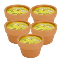 LILI HOME 🕯️ Pack de 5 Velas de Citronela en Maceta de Barro – 65g cada una, Ø7 cm y más combinaciones para elegir. Están elaboradas con cera de alta calidad infusionada con aceite esencial de citronela, una planta reconocida por su capacidad natura - details 5