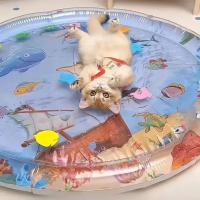 Alfombra De Agua Para Mascotas Con Hielo Anti-Rasguños Resistentes Al Desgaste Para Perros Y Gatos Casa De Verano Con Resistencia Al Rasguño - details 0