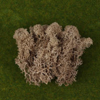 1Pc Moss Artificial De Colores Naturales Para Decoración De Joyería Jardín Y Epoxy Resina Decorativa Para Mesa - details 9
