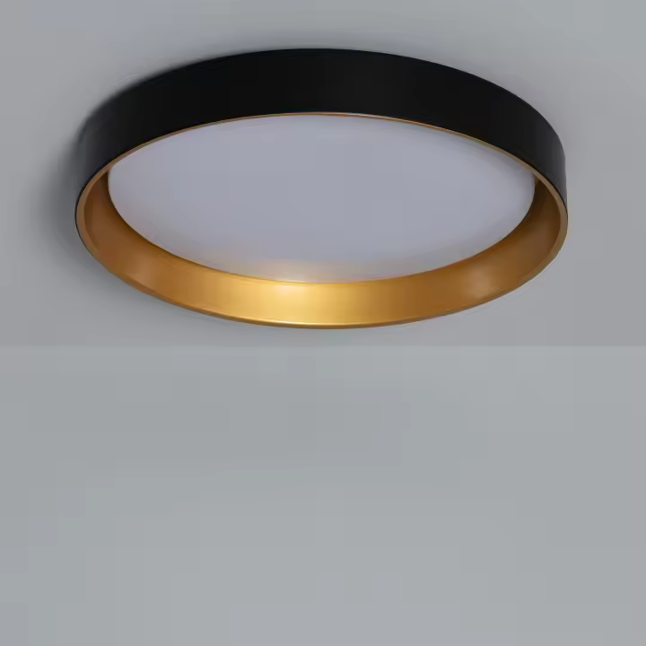 Ledkia Plafón LED 30W Circular Metal Ø550 mm CCT Seleccionable Big Broadwey - 1