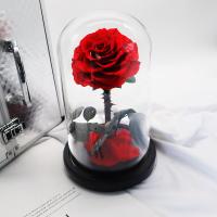Preserved Real Rose Eternal Rose In Glass Dome Gift para ella Acción de Gracias Navidad Día de San Valentín Cumpleaños Día DE LA Madre (Rojo) bebetter - details 1