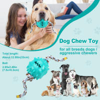 Juguetes Para Masticar Para Perros Juguetes Interactivos De Limpieza De Dientes Anti Mordedura Con Bolas De Alimentos Que Se Escapan Productos Para Mascotas - details 20