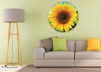 Educa - Round Girasol. Puzzle Redondo de 800 Piezas Educa 19034 - details 3