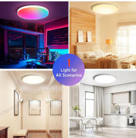Lámpara De Techo Inteligente Zigbee Tuya Wifi 24W RGB Dimmable Smartlife Control Por Alexa Y Google Home Para Habitación - details 6