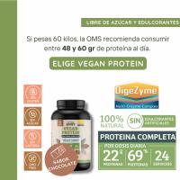 WeBotanix  Proteína Vegana 768 gr Sabor Chocolate  Vital Sport  Proteína de Cáñamo, Arroz y Guisante  Vitamina B6, Probióticos y Enzimas Digestivas  Sin Gluten, Sin Edulcorantes Artificiales - details 2