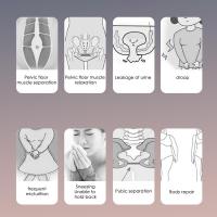Entrenador De Musculatura PC Kegel Para Reparación Y Fortalecimiento Del Músculo Pélvico Ejercicio De Fortalecimiento De Abdomen Y Cintura - details 10
