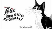Pack 12x4 - Comida Húmeda para Gatos Purina Felix Festín de Sabores en Gelatina - - details 1