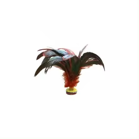 LOTE 6 INDIAKAS FÚTBOL PLUMA DARK SOFTEE - 1