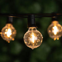 Luces De Cadena LED G40 De Plástico E12 110V US 220V EU Impermeables Y Resistentes Al Choque Para Decoración De Jardín Exterior - details 15