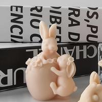 Molde De Hueso De Pascua Conejo De Silicona 3D Para Velas Resina Y Sabón Herramienta De Fabricación De Velas Regalo De Fiestas - details 4