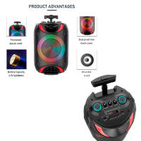 Sanda Altavoz DS-1818 Portátil Grande 8 Pulgadas Bluetooth Inalámbrico con Luces LED Geniales - details 8