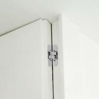 Bisagra oculta para puertas, Juego de 2 bisagras invisibles para puertas pesadas, capacidad de carga 40 kg, apertura 180º - details 1