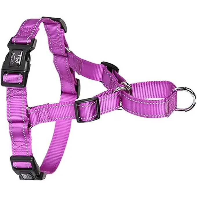 Verde Arnés para Perros de Nylon Reflectante Púrpura Tamaño Pequeño - 1