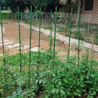 Pack 12-24 Tutores para Plantas de Acero Plastificado Verde Ø0.8-1.1 cm | Soporte para Tomates, Flores y Huerto | Varillas Jardín Varios Largos - Maxia Market - details 2