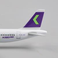 Modelo De Avión A320 De Escala 20CM En Metal Replicado Del Chilean Sky Decoración De Casa Miniatura De Aviación Para Coleccionistas - details 3