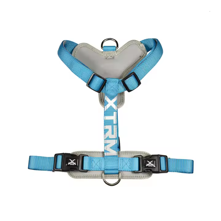 ARNES X-TRM CRONOS NEON FLASH 60-100x2.5cm AZUL NAYECO - 1