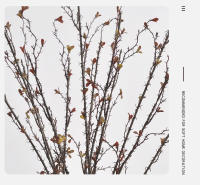 Vine Artificial De Espinas 88CM Para Decoración De Sala De Estar Hotel Casa Muerta Planta De Silicona En Café Naranja Verde Ligero Verde - details 14