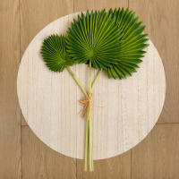 Abanico De Palma Grande Con Fibras De Lluvia De Tortuga Y Hojas Tropicales Artificiales Decoración Para Hogar Y Jardín Accesorios De Fiesta DIY Para Bodas Y Navidad - details 4