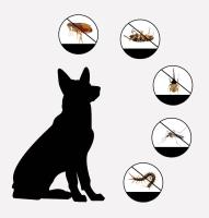 Collar antiparasitario para perros y gatos - Protección contra pulgas, piojos, ácaros y garrapatas - details 2