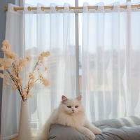 Panel De Cortinas Semi Transparentes Blancas/Oscurecidas Para Niños Para Sala De Estar Y Dormitorio Con Bolso Para Percha Voile De Fiesta - details 8