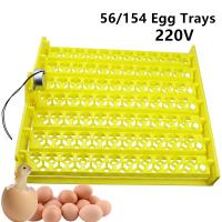Incubador De Huevos Automático 56 154 Huevos De Pato Pollo En Venta Incubador De Huevo Con Bandeja Giratoria Y Motor 220V - details 16