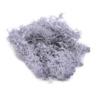 Plantas Artificiales Verdes 40g Vida Eterna Mostrador De Hierba Para Decoración De Hogar Sala De Estar Jardín Mini Paisaje Flores Falsas Para DIY Y Exposiciones - details 15