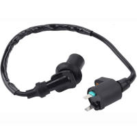 Bobina De Encendido Para Motocicleta 12V Adecuado Para Motor GY6 TRX300 50CC 125CC 150CC Bicicleta De Tierra Scooter Moped Alta Performance - details 2