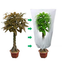 Protector De Helada Para Plantas Portátil Reutilizable Invierno Otoño Cálido Mantener Jardín Frutas Vegetales Cobertura De Árboles Con Cordón - details 5