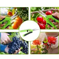 Juego De Tijeras De Jardín Antideslizantes Herramienta De Podar Flor Y Fruta Labor-Saving Para Ramas Y Verduras - details 3