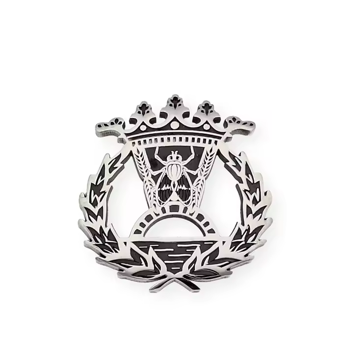 Castellano Joyeros - Pin Insignia Profesional de Economía en Plata de Ley 925 Distintiva - 1