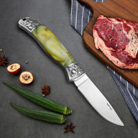 Cuchillo De Afeitar Profesional En Acero Inoxidable Con Mango Plegable Cuchillo De Carne Y Fruta Para Corte De Pescado Y Carne En La Cocina - details 7